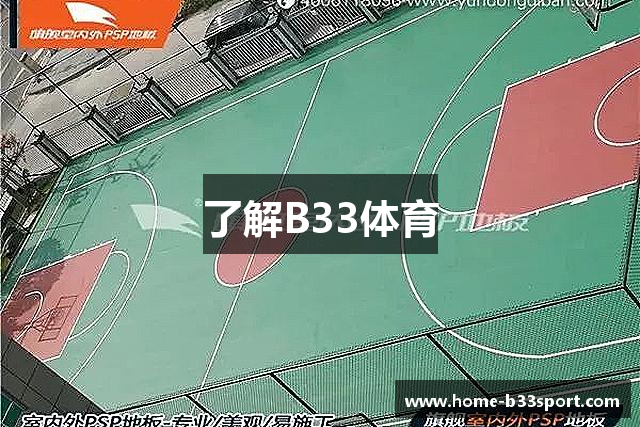 了解B33体育